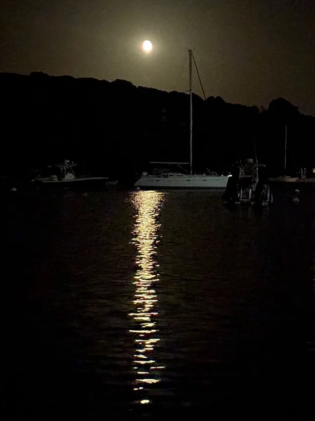 Eels pond at night. Beautiful picture from Bob F.