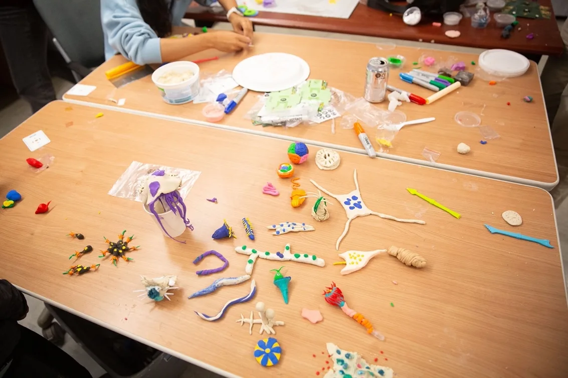 making arts inspired byMarine science!