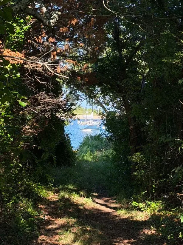 Right: The door that led Sen’s family to the other world in Spirited Away, a movie about the ending of a summer of intense adventure and growth. Left: a secret spot we found near Woods Hole, peaking into open water. Don’t they look alike? (left image)